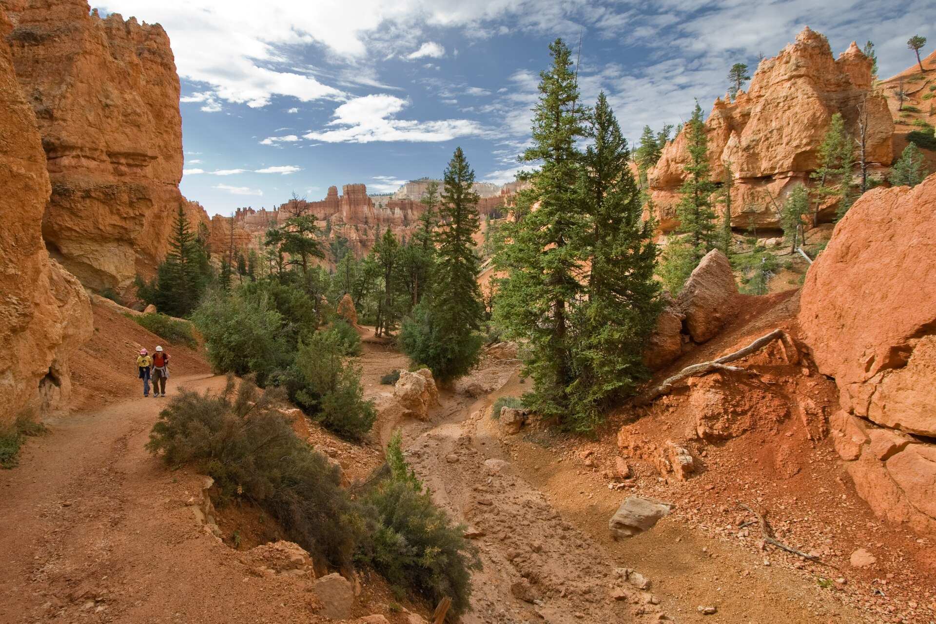 Parc national de Bryce Canyon