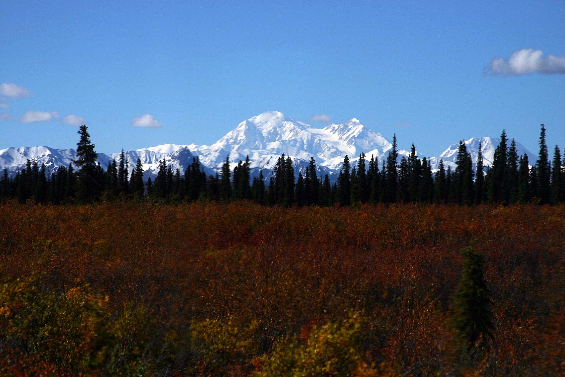 Parc national et réserve de Denali