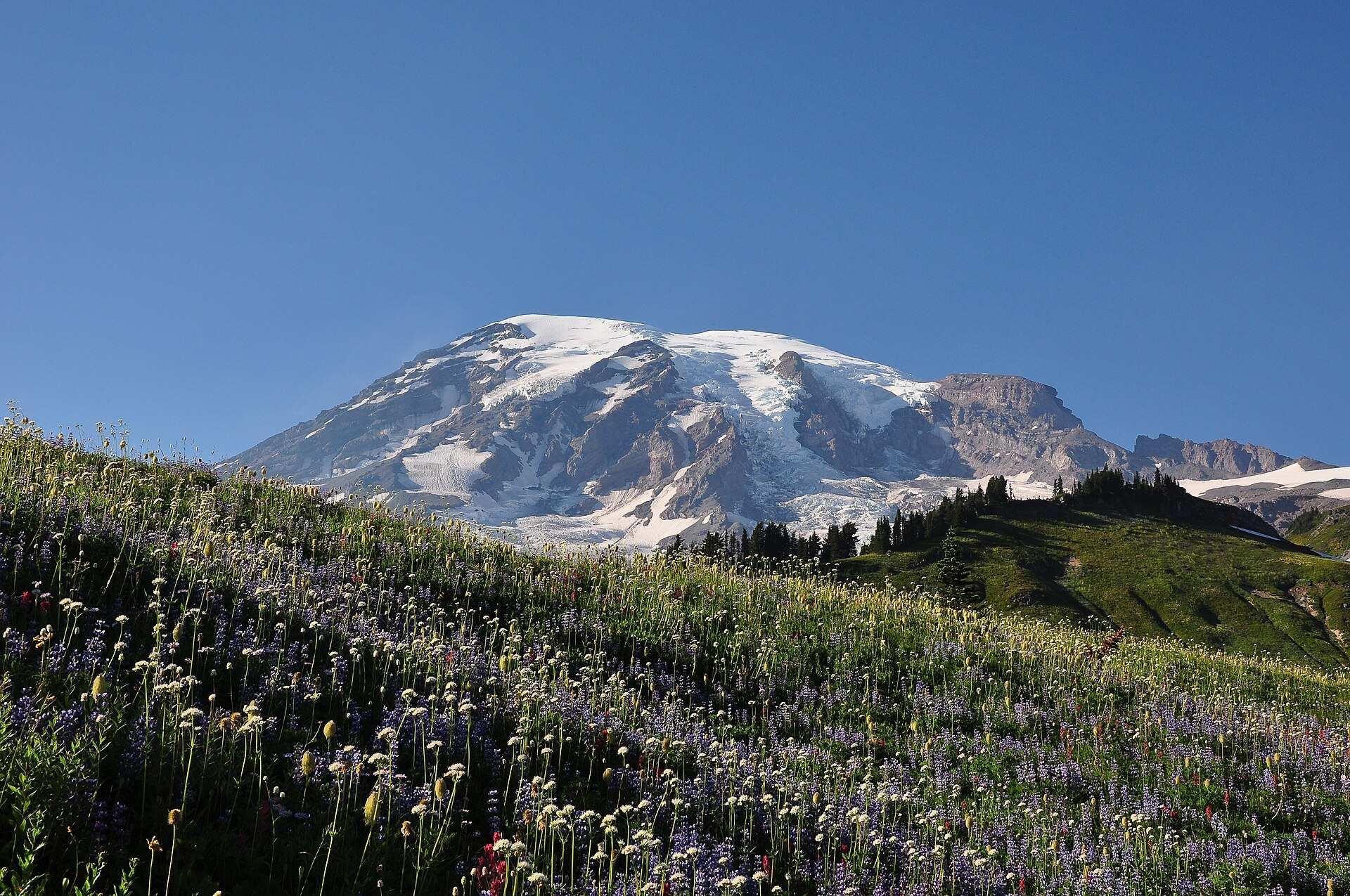 Parc national de Mount Rainier