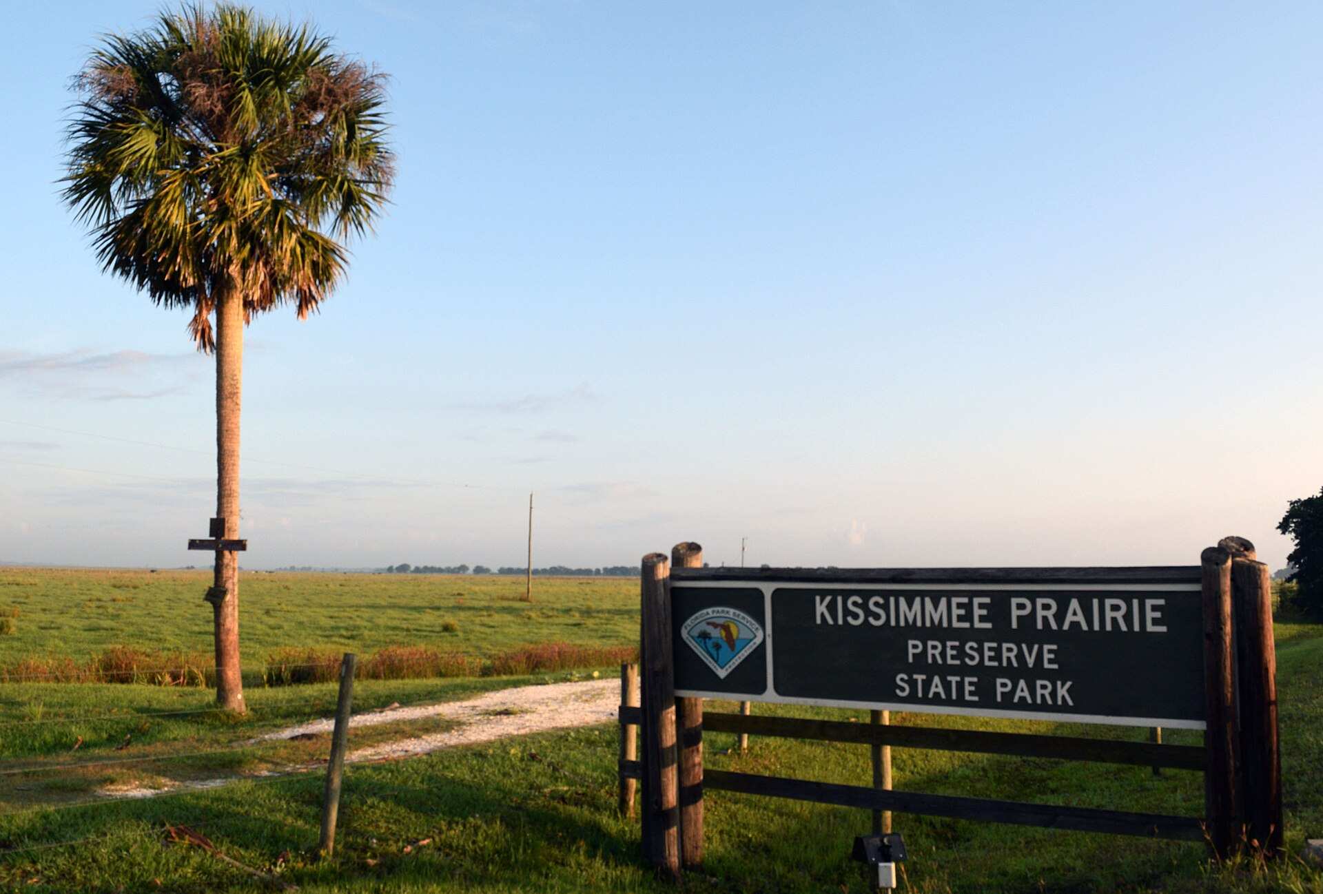 Réserve d'État Kissimmee Prairie Preserve