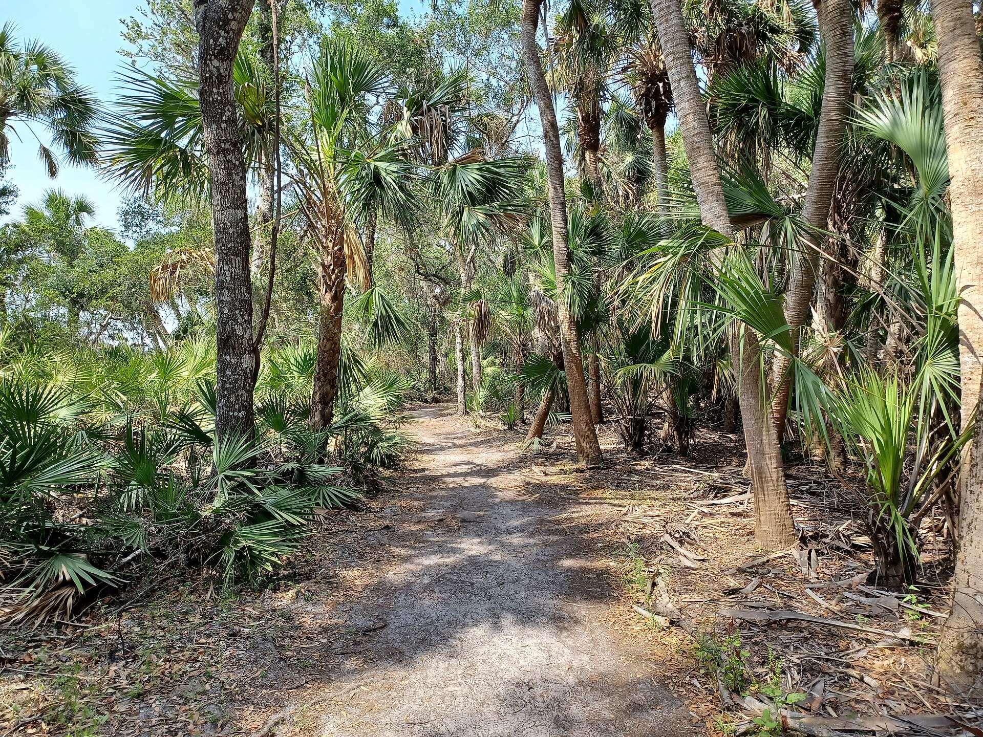 Parc d'État Myakka River