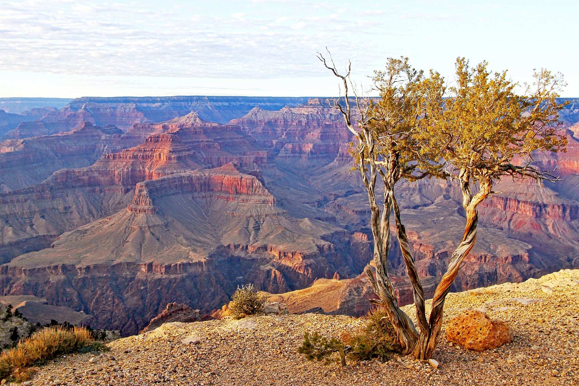 Parc national du Grand Canyon