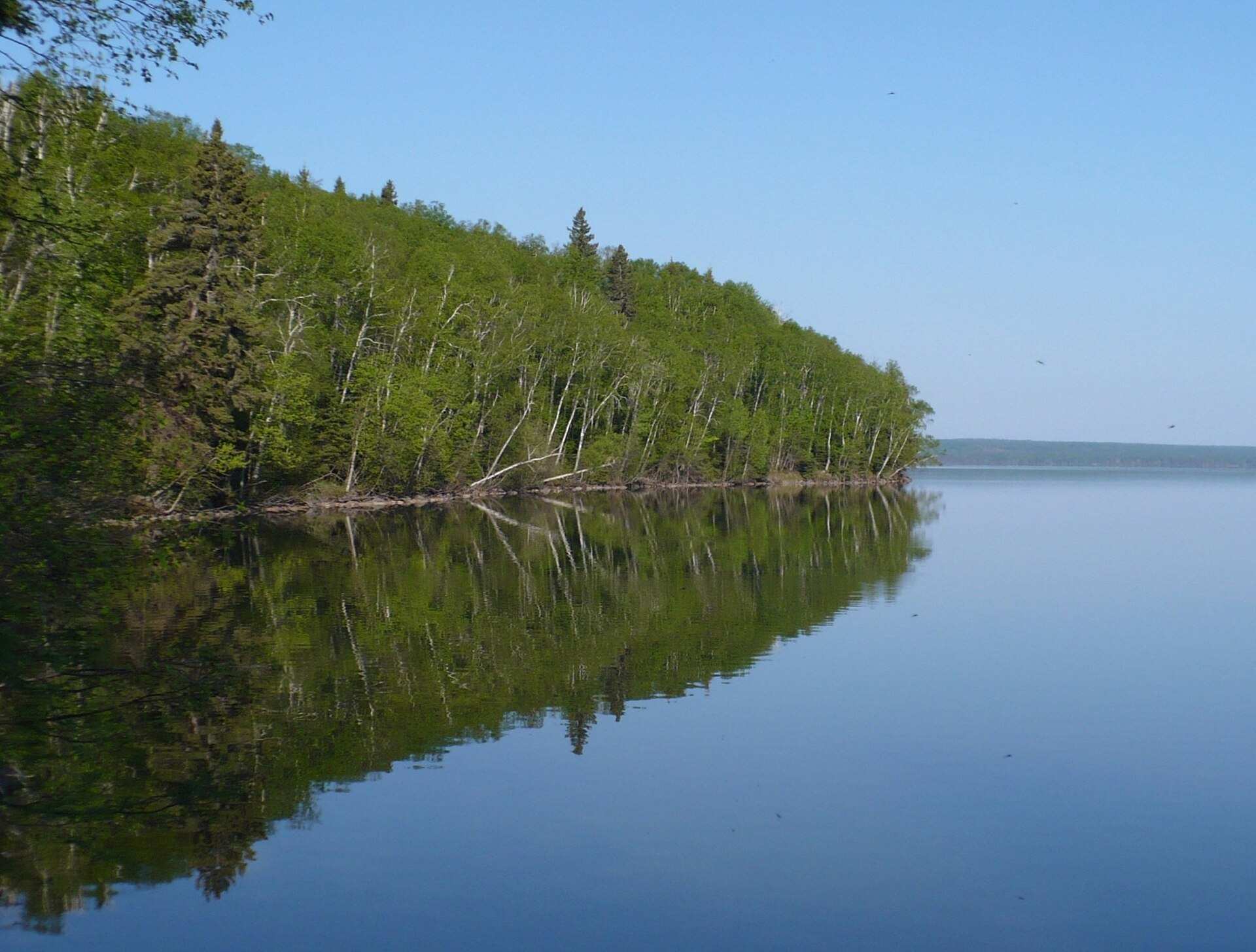 Parc national de Prince Albert